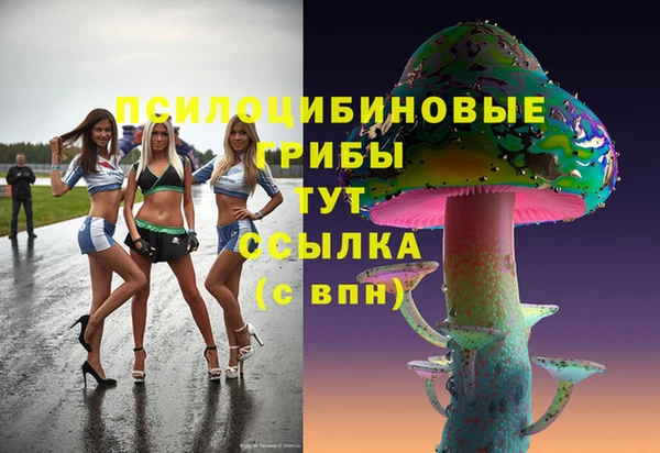 герыч Бородино