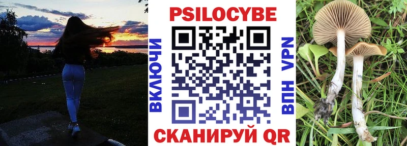 Псилоцибиновые грибы Psilocybe где продают Вилюйск